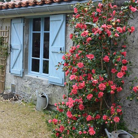 Bed and Breakfast La Maison du Parc à Lacave  Extérieur photo
